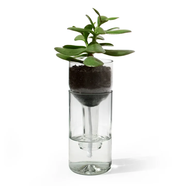 De Self Watering Bottle bloempot van side by side in helder glas