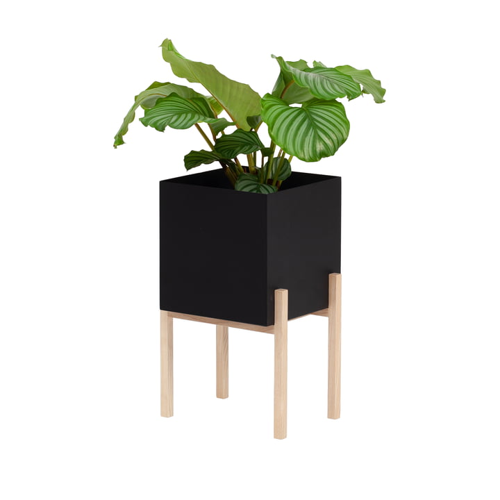 De Botanic Pedestal Pot van Design House Stockholm , zwart / natuur