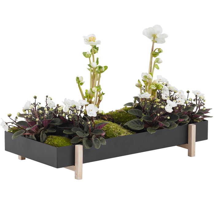 De Botanic Tray van Design House Stockholm met bloemen