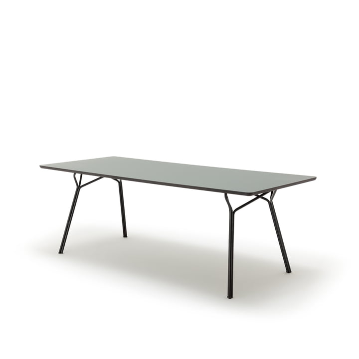 120 -201 Eettafel, 160 x 90 cm van freistil in grijs olijf
