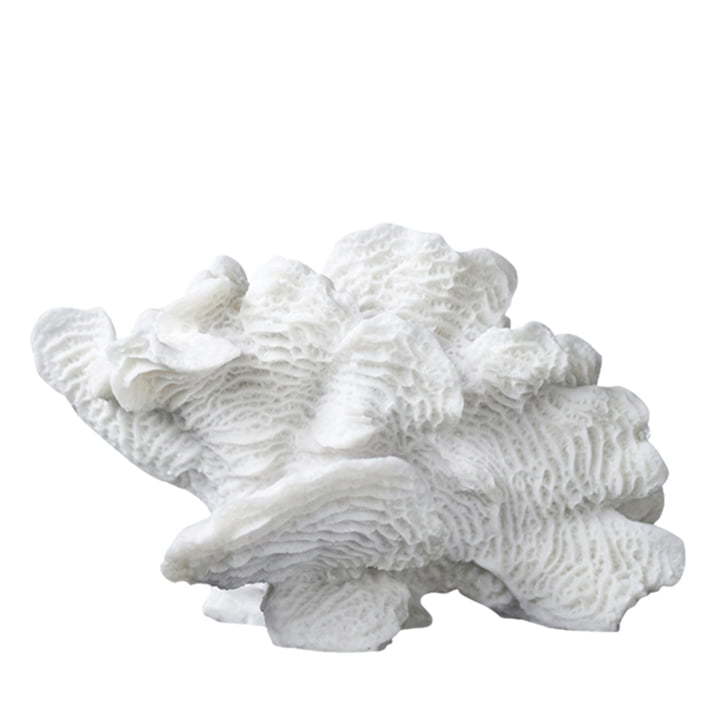 Coral Decoratieve objectventilator van Mette Ditmer in wit