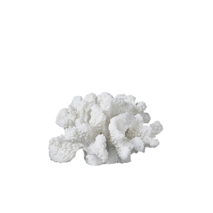 Coral Deco object takjes klein van Mette Ditmer in wit
