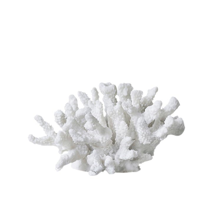 Coral Decoratief object takken groot van Mette Ditmer in wit