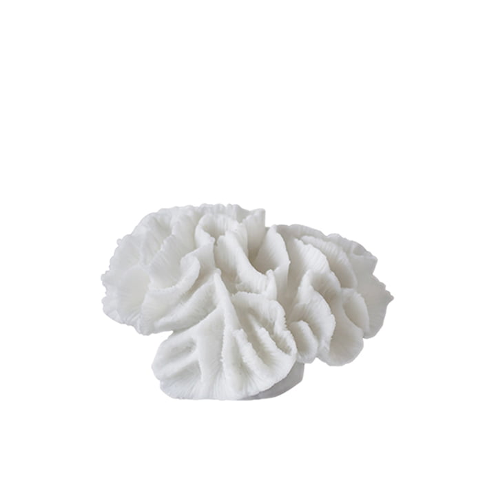 Coral Deco object kieuwen van Mette Ditmer in wit