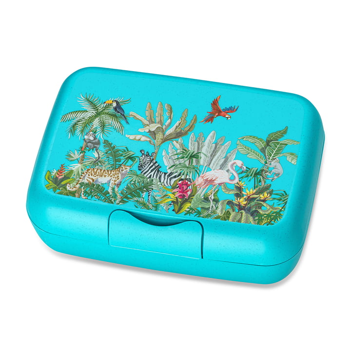 Candy L Kinder lunchtrommel Jungle, organic turquoise by Koziol