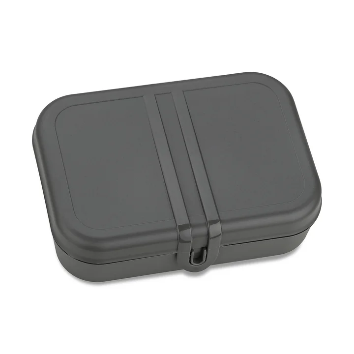 Pascal L Lunchbox met verdeler, nature ash grey van Koziol