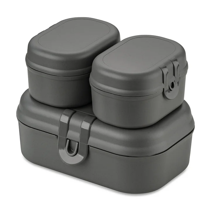 Pascal Ready Mini lunchpakket, nature ash grey van Koziol
