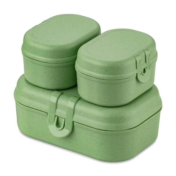 Pascal Ready Mini lunchpakket, nature leaf green van Koziol