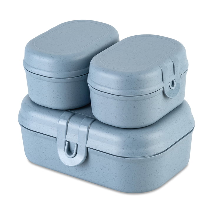 Koziol - Pascal Ready Mini lunchbox set, nature bloem blauw (set van 3)