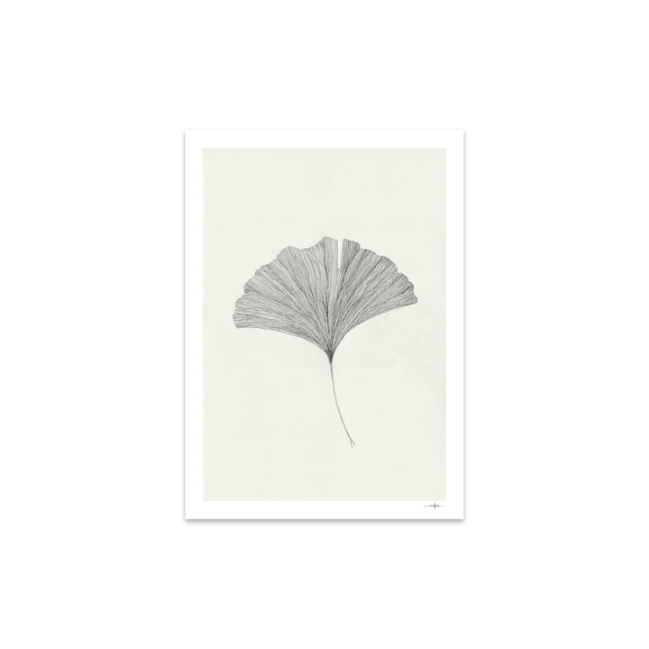 Ginkgo Leaf door Ana Frois, 30 x 40 cm door The Poster Club