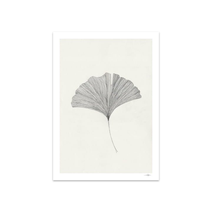 Ginkgo Leaf door Ana Frois, 50 x 70 cm door The Poster Club