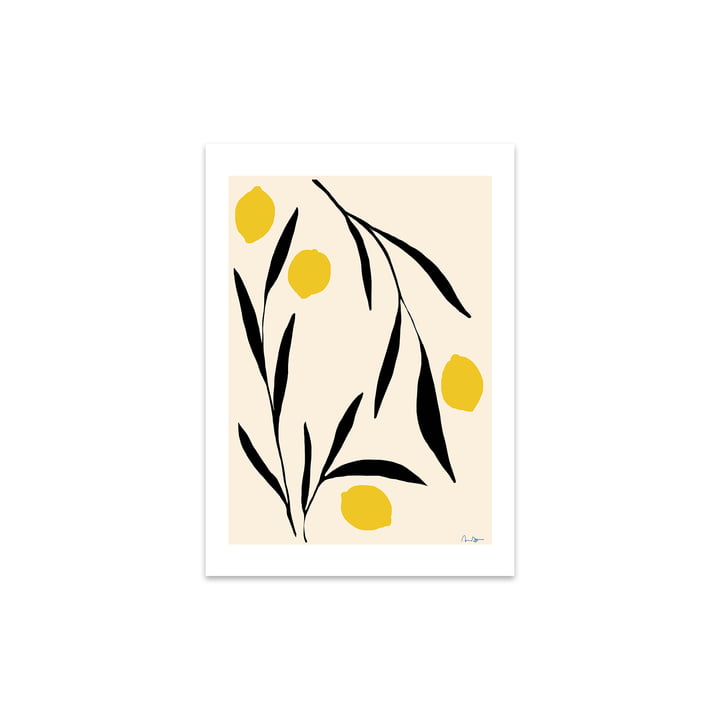 Lemon door Anna Mörner, 30 x 40 cm