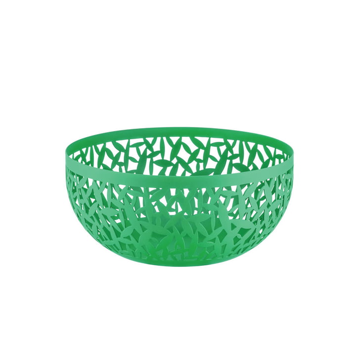 Fruitschaal Cactus ! van Alessi in kleur groen