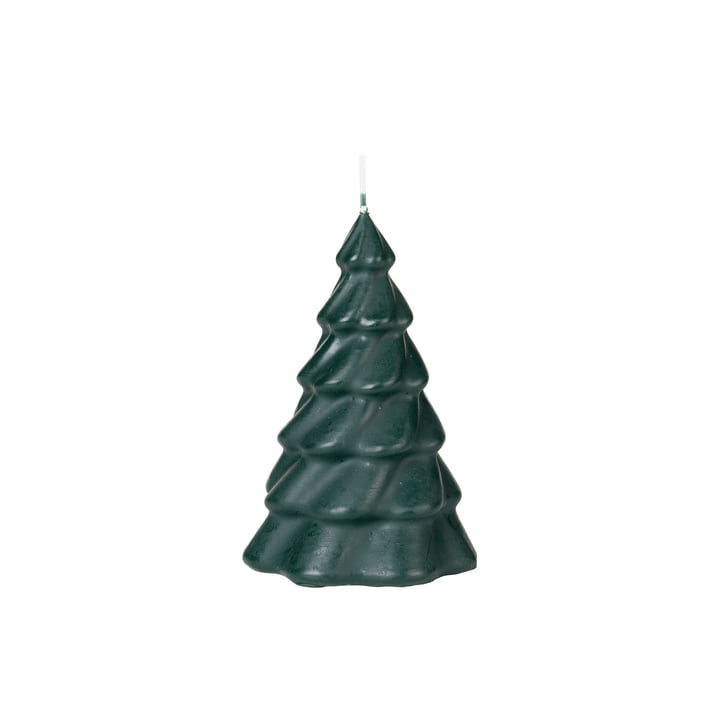 Pinus Kerstboomkaars van Broste Copenhagen