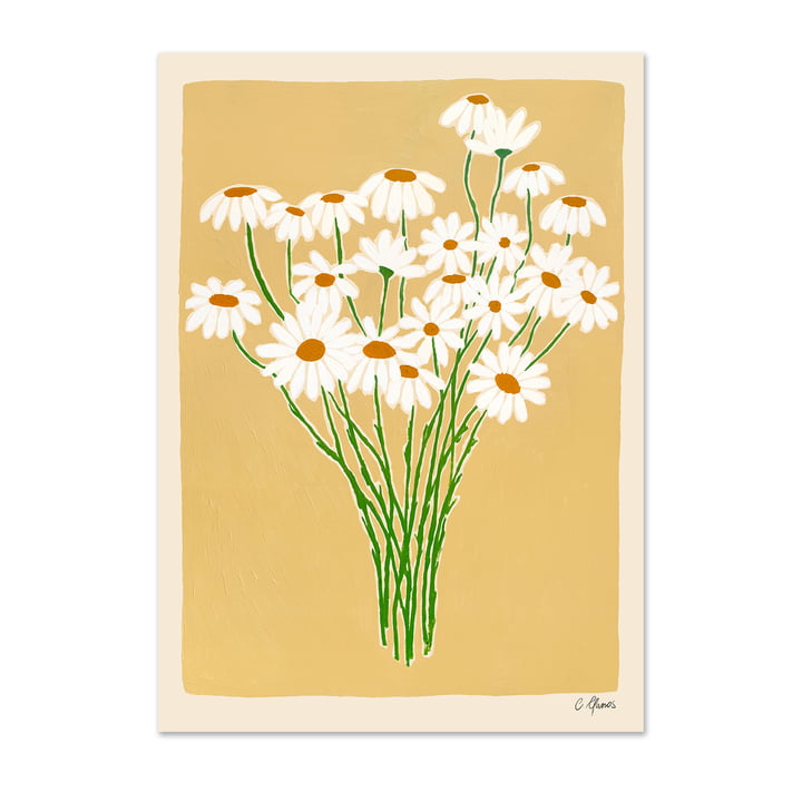 Daisies door Carla Llanos voor The Poster Club