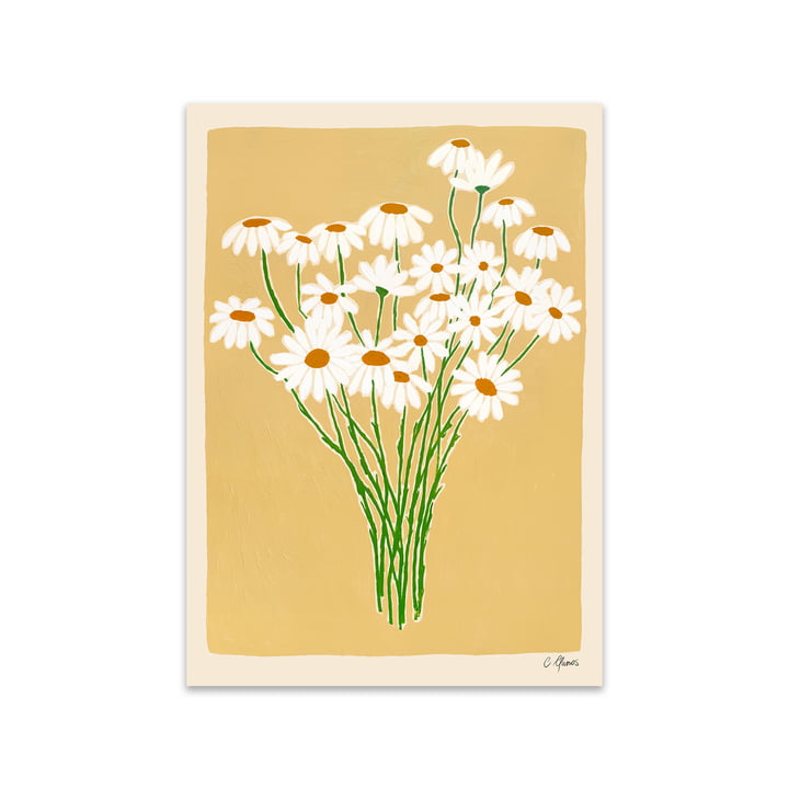 Daisies door Carla Llanos voor The Poster Club