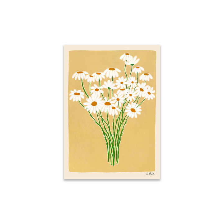 Daisies door Carla Llanos voor The Poster Club