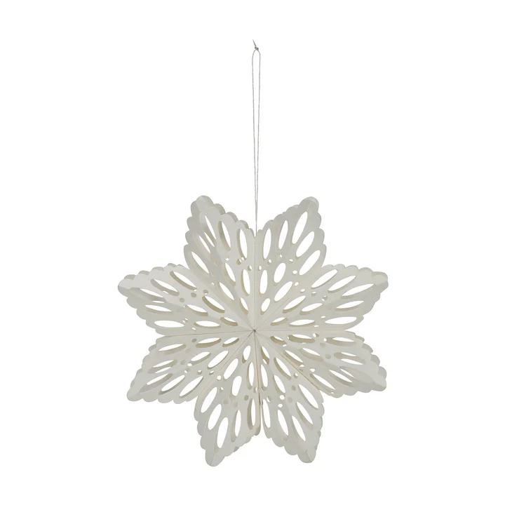 Sneeuwvlok van House Doctor