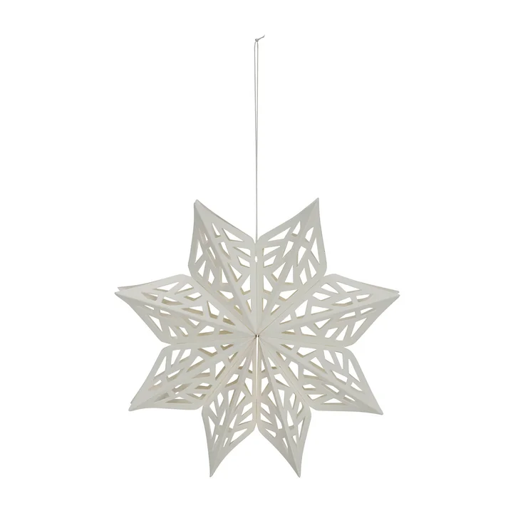 Sneeuwvlok van House Doctor