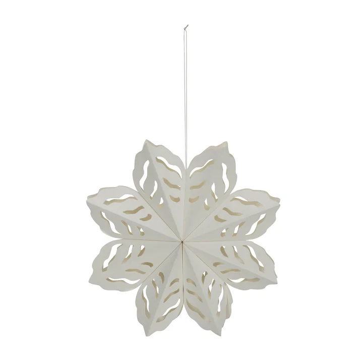 Sneeuwvlok van House Doctor