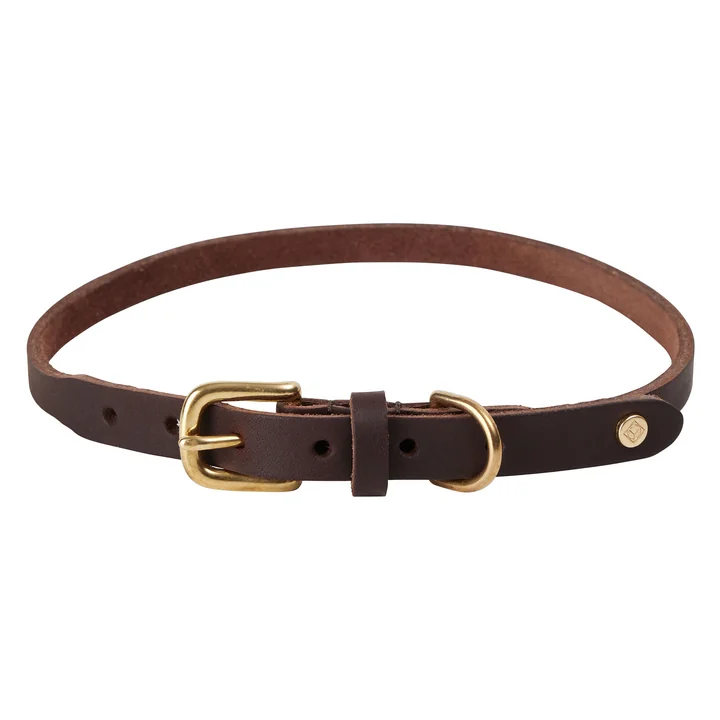 OYOY Robin ZOO - Halsband voor honden, extra groot, choko