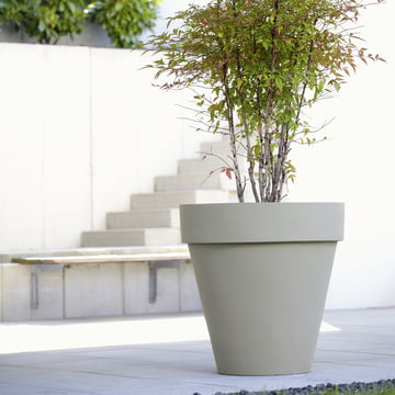 De Ene met The Edge XL van amei