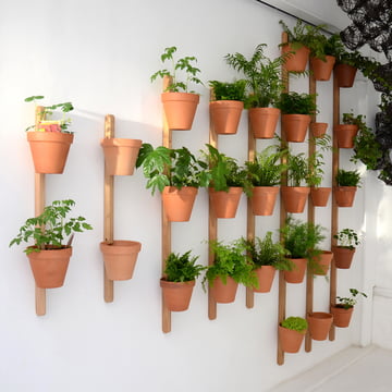 Editie Compagnie - Xpot