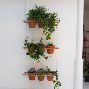 Editie Compagnie - Etcetera Planting System (set van 3)