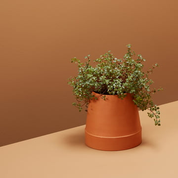 De omgekeerde bloempot van Boskke