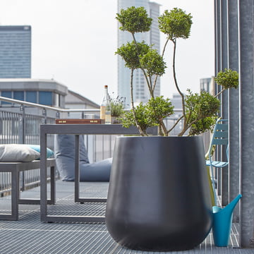 De buik in L van Amei