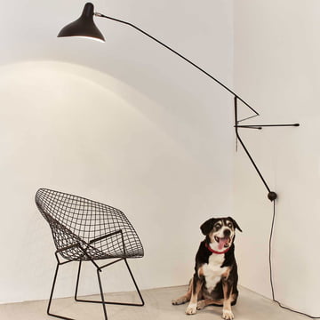 Mantis BS2 wandlamp van DCW boven de lectuurstoel