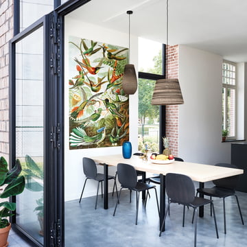 Kolibri's (Haeckel) uit IXXI