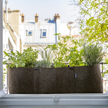 Planten op het balkon: de Bacsac plantenzak