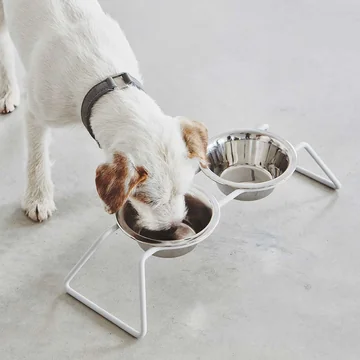 Cena Schaalstandaard van MiaCara