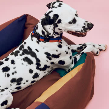 HAY - Honden - Bed - M - Situatie