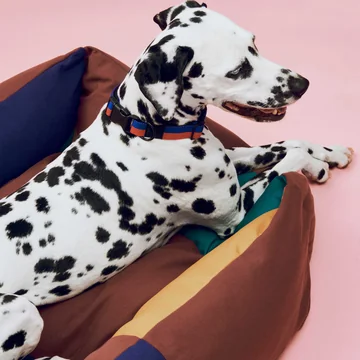 HAY - Honden - Bed - M - Situatie