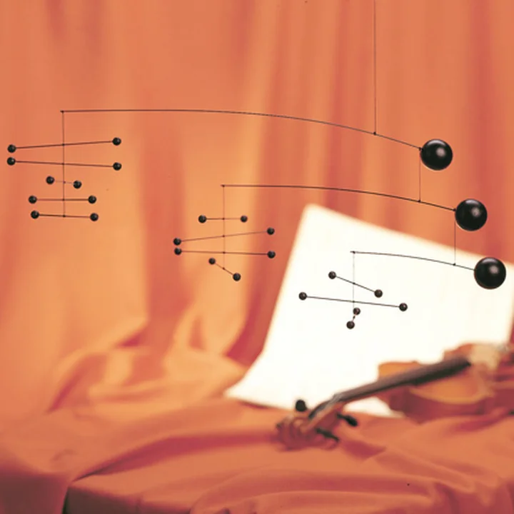 Complexe mobiel om op te hangen