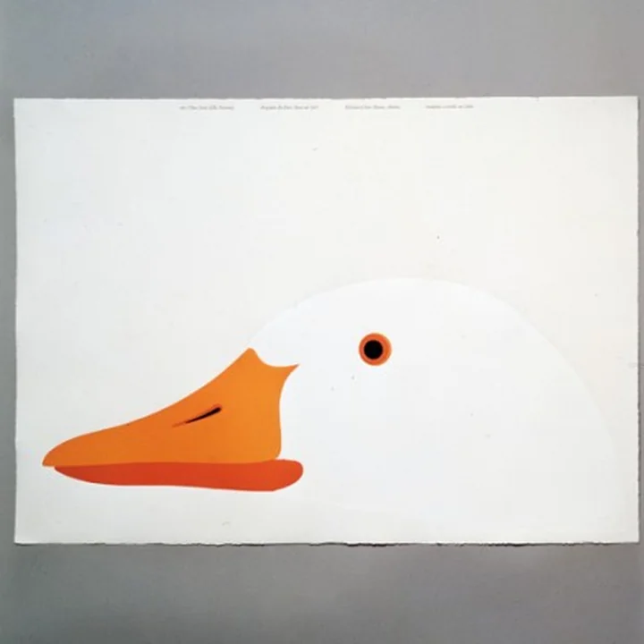 Grafiek "Otto, l'oca"