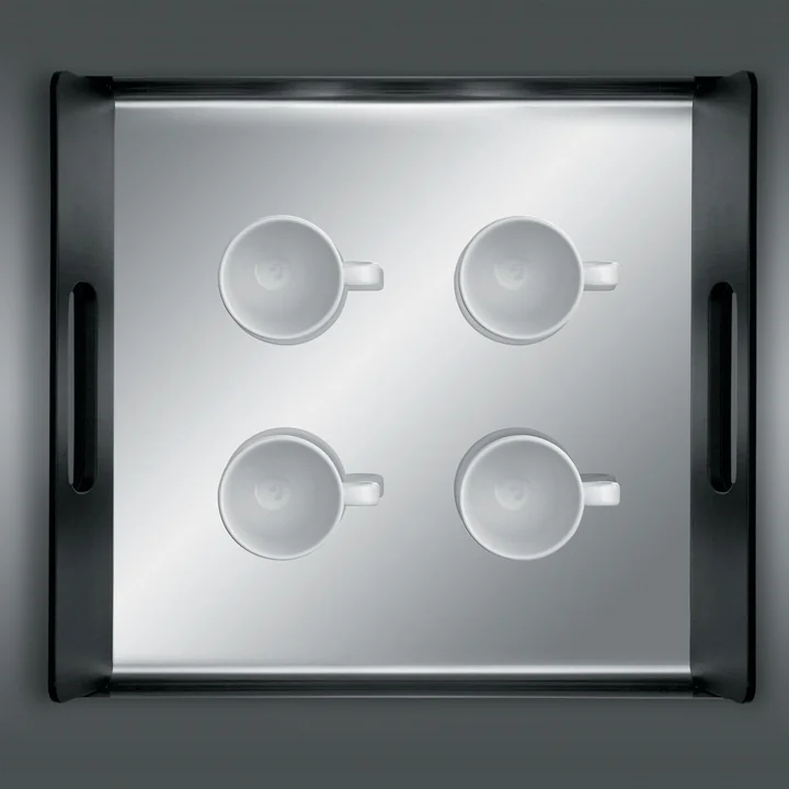 Royaal dienblad van roestvrij staal