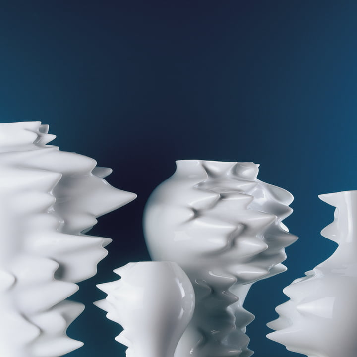 De Rosenthal Fast Vase bevriest in time lapse