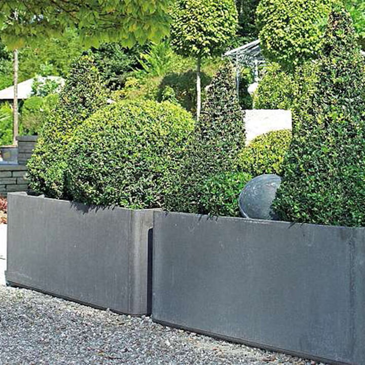 Veel Delta Plantenbakken 60 van Eternit met buxus