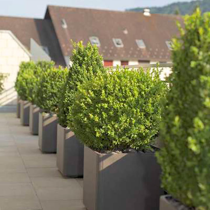 Planten houden van het natuurlijke materiaal van de Delta Plant pot 45