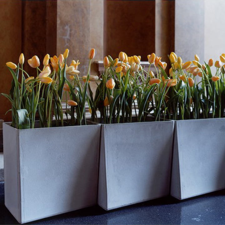 De Twista Plantpot van Eternit met tulpen