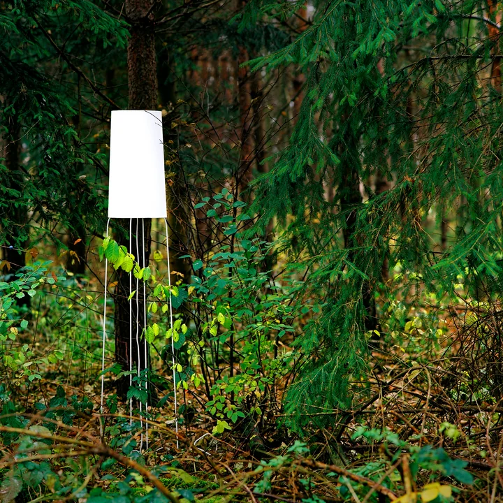 Slimsophie Vloerlamp van frauMaier