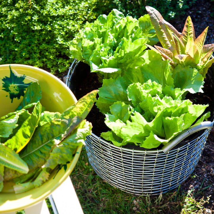 Draadmand met plantenzak voor de tuin