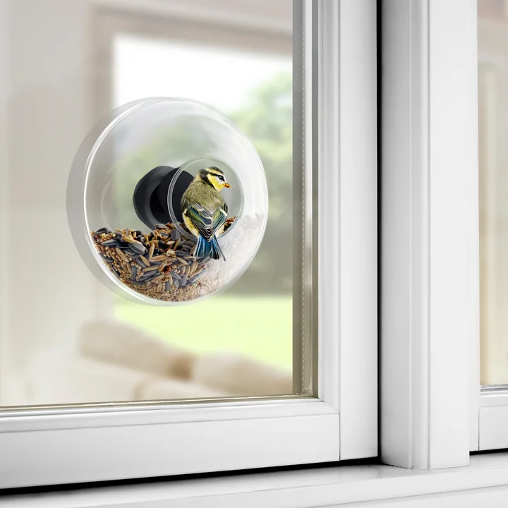 Natuur direct buiten het raam