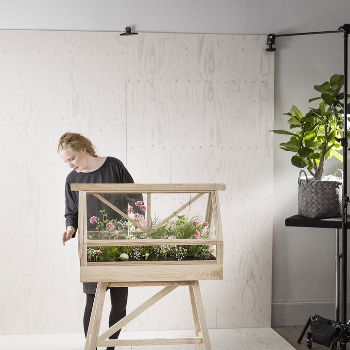 De Greenhouse Terrarium van Design House Stockholm