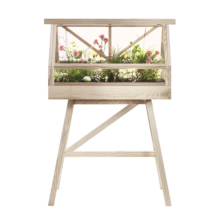 De Greenhouse Terrarium van Design House Stockholm