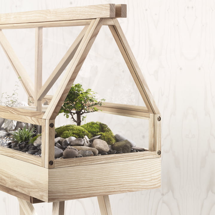 De Greenhouse Terrarium van Design House Stockholm