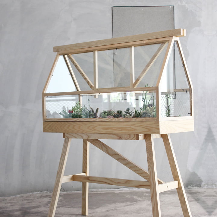 De Greenhouse Terrarium van Design House Stockholm